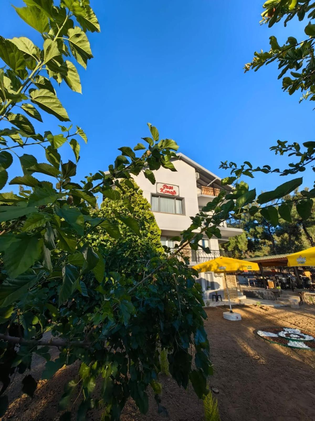 Pasa Konagi Ayvalik Hotel Eksteriør billede